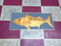 fish checkered